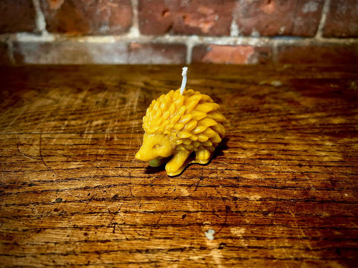 Cute Hedgehog Beeswax Candle