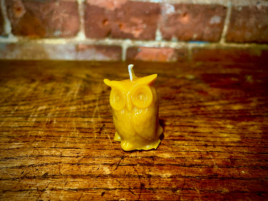 Little Owl Beeswax Candle