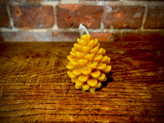 Beautiful Pine Cone Beeswax Candle